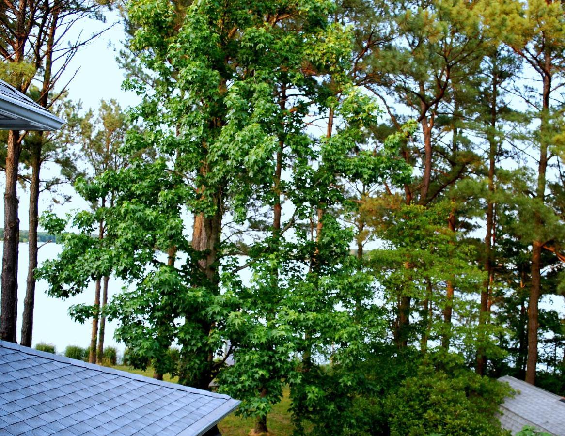 Swanendele Inn Ridge Εξωτερικό φωτογραφία